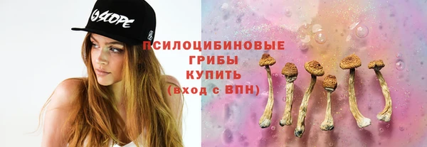 ГАЛЛЮЦИНОГЕННЫЕ ГРИБЫ Нефтекумск
