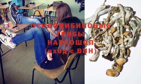 ГАЛЛЮЦИНОГЕННЫЕ ГРИБЫ Нефтекумск
