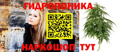 ALPHA PVP Гагарин