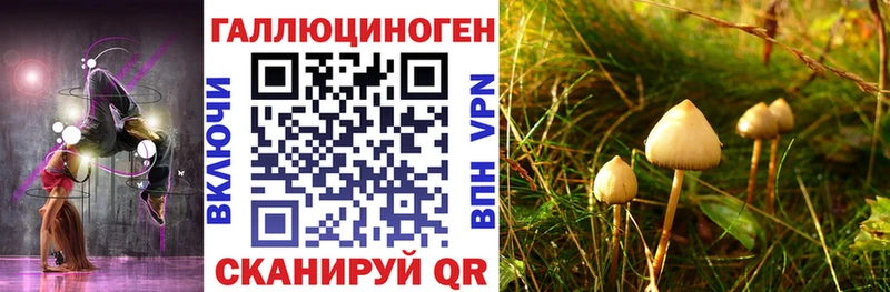 Псилоцибиновые грибы прущие грибы закладки ОМГ ОМГ ССЫЛКА Калач-на-Дону