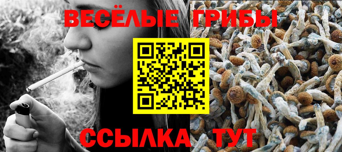 Галлюциногенные грибы Cubensis Калач-на-Дону