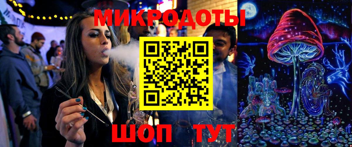 Галлюциногенные грибы Psilocybe Калач-на-Дону